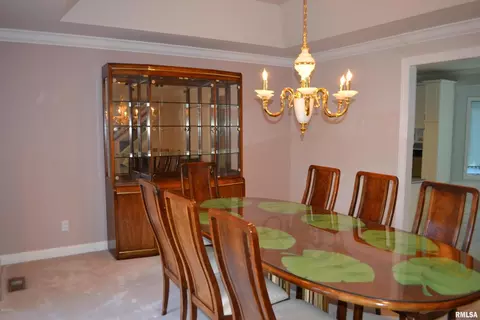 25 Clearlake Dr, Centralia, IL 62801 photo 22