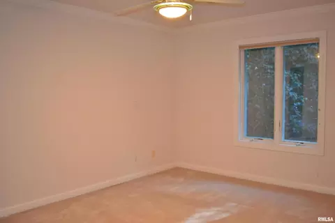 25 Clearlake Dr, Centralia, IL 62801 photo 31