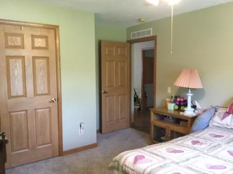 2785 Kaolin Rd, Cobden, IL 62920 photo 19