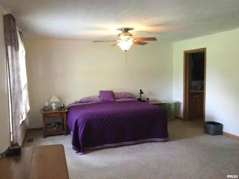 2785 Kaolin Rd, Cobden, IL 62920 photo 14