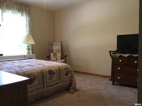 2785 Kaolin Rd, Cobden, IL 62920 photo 20