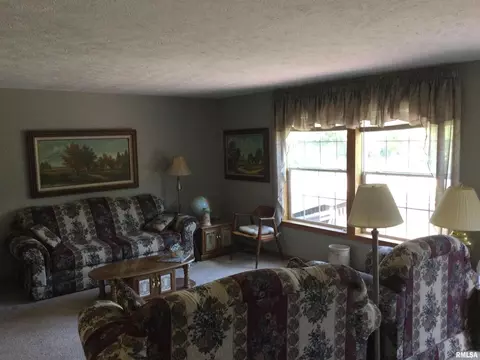 2785 Kaolin Rd, Cobden, IL 62920 photo 13