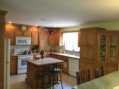 2785 Kaolin Rd, Cobden, IL 62920 photo 9