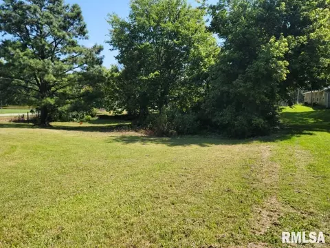 131 Suite Ave, Buncombe, IL 62912 photo 19