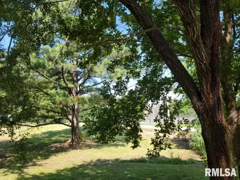 131 Suite Ave, Buncombe, IL 62912 photo 14