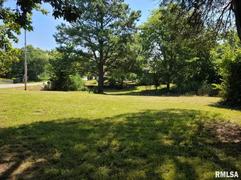 131 Suite Ave, Buncombe, IL 62912 photo 15