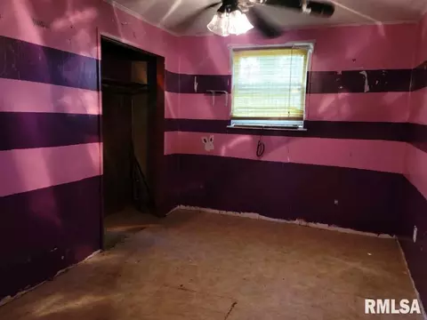 131 Suite Ave, Buncombe, IL 62912 photo 7