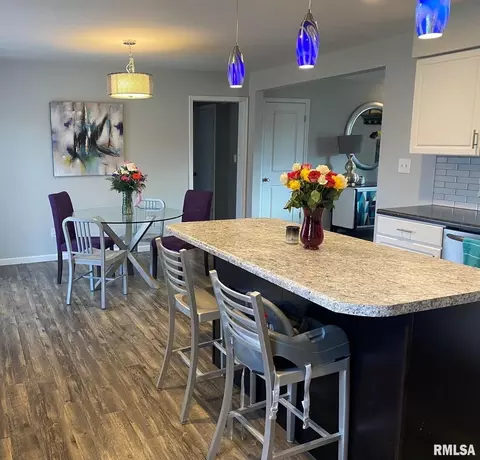 532 Sara Dr, Centralia, IL 62801 photo 7