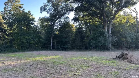 000 Mount Moriah Rd, Centralia, IL 62801 photo 13