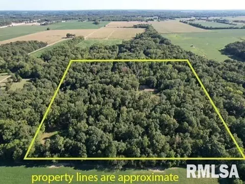 000 Mount Moriah Rd, Centralia, IL 62801 photo 2