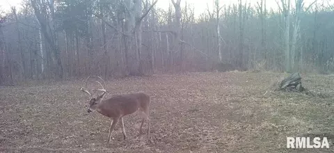 000 Mount Moriah Rd, Centralia, IL 62801 photo 20
