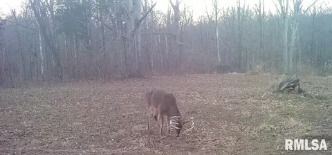 000 Mount Moriah Rd, Centralia, IL 62801 photo 21