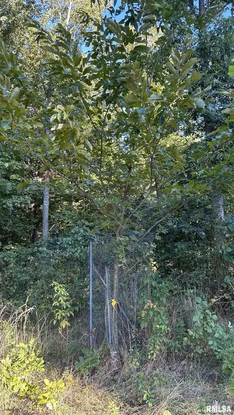 000 Mount Moriah Rd, Centralia, IL 62801 photo 14