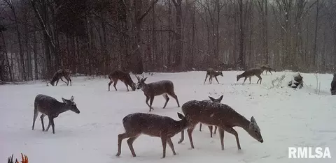 000 Mount Moriah Rd, Centralia, IL 62801 photo 23