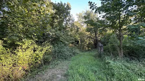 000 Mount Moriah Rd, Centralia, IL 62801 photo 5