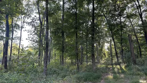 000 Mount Moriah Rd, Centralia, IL 62801 photo 17