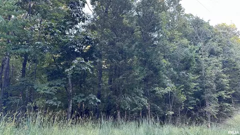 000 Mount Moriah Rd, Centralia, IL 62801 photo 18