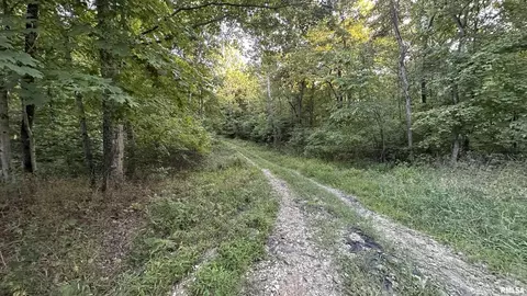 000 Mount Moriah Rd, Centralia, IL 62801 photo 16