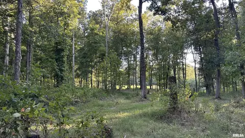 000 Mount Moriah Rd, Centralia, IL 62801 photo 12