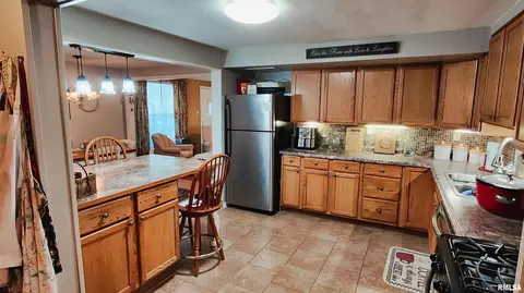 6 Comanche Dr, Mcclure, IL 62957 photo 8