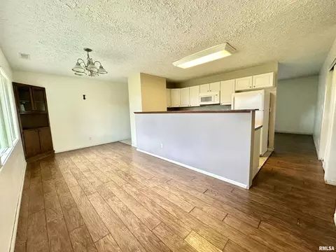 711 E 4th St, Flora, IL 62839 photo 13
