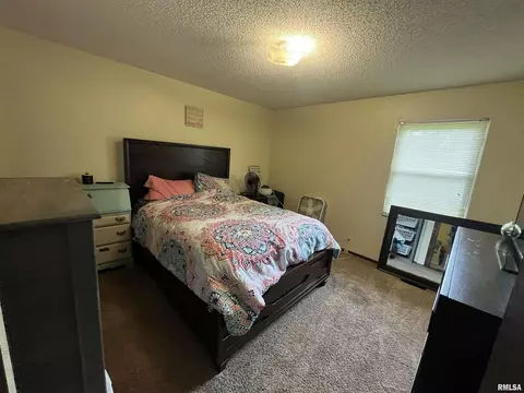 122 Lamar St, Salem, IL 62881 photo 12