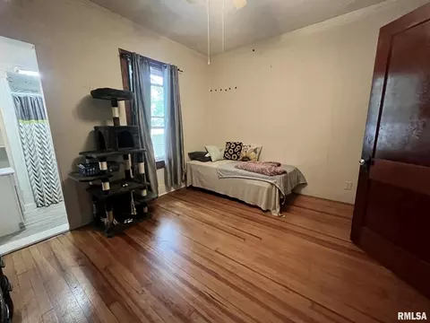 107 E 11th St, Metropolis, IL 62960 photo 20