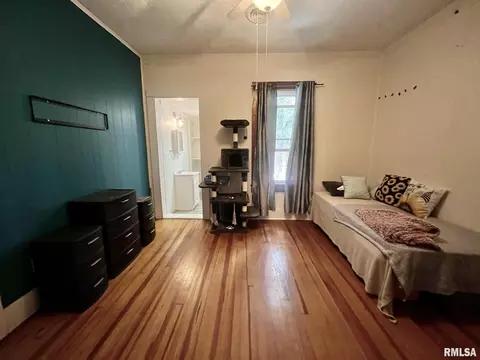 107 E 11th St, Metropolis, IL 62960 photo 19