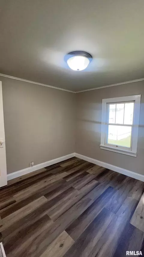 610 W Helen Ave, Christopher, IL 62822 photo 10