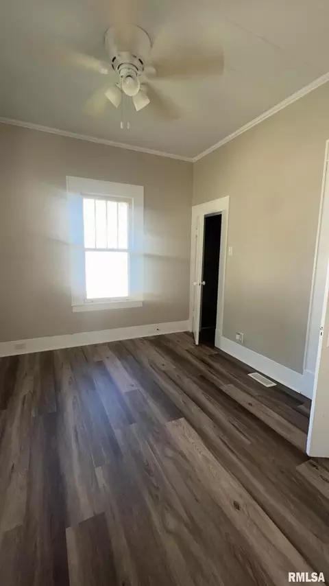 610 W Helen Ave, Christopher, IL 62822 photo 9