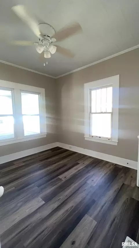 610 W Helen Ave, Christopher, IL 62822 photo 15
