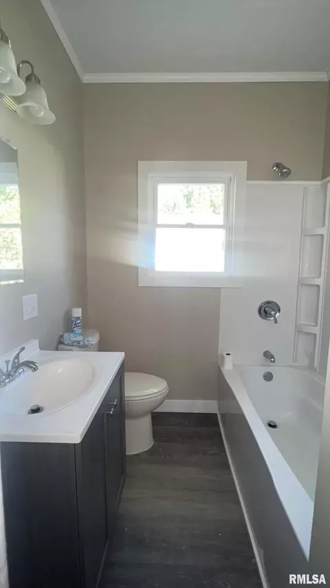 610 W Helen Ave, Christopher, IL 62822 photo 13