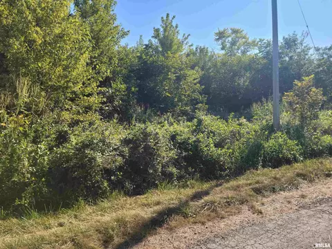 175 E Lang Ln, Bonnie, IL 62816