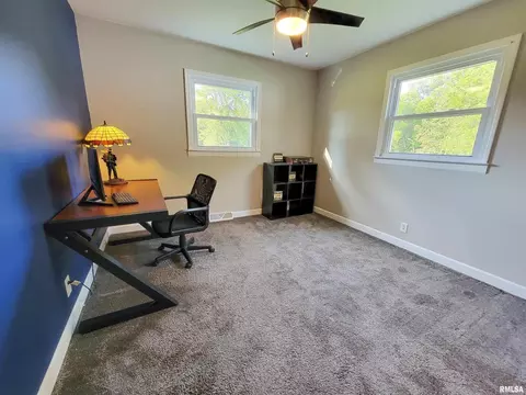 2325 County Road 975 E, Rinard, IL 62878 photo 51