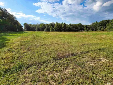 2325 County Road 975 E, Rinard, IL 62878 photo 81