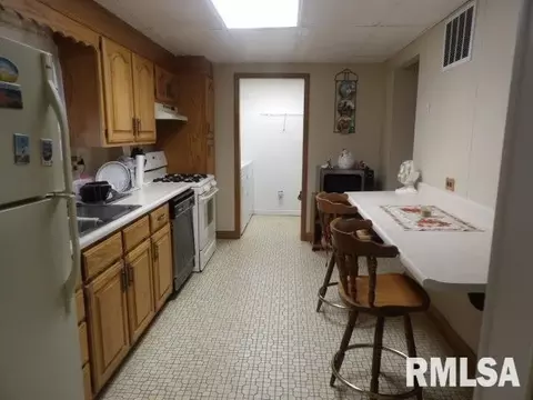 2050 Raleigh Rd, Eldorado, IL 62930 photo 9