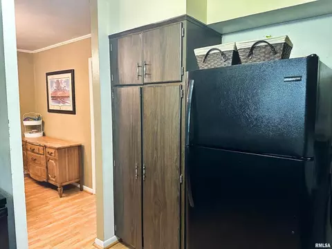 607 W Spring St, Anna, IL 62906 photo 11