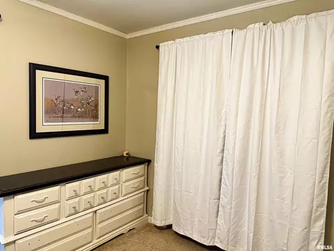 607 W Spring St, Anna, IL 62906 photo 19