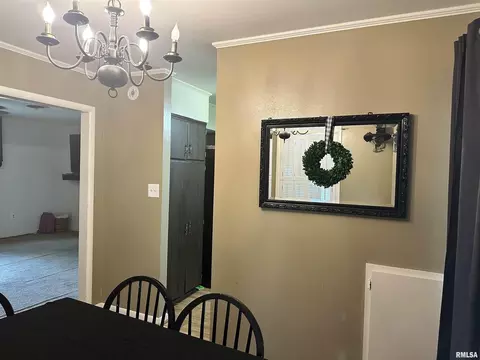 607 W Spring St, Anna, IL 62906 photo 13