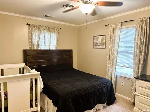 607 W Spring St, Anna, IL 62906 photo 18