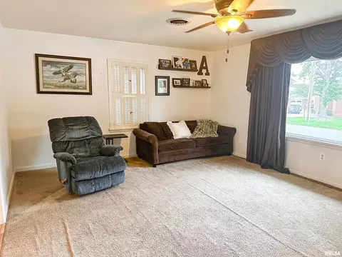 607 W Spring St, Anna, IL 62906 photo 7