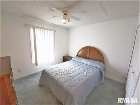 313 Roddy Rd, Salem, IL 62881 photo 13