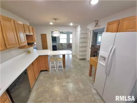 313 Roddy Rd, Salem, IL 62881 photo 4