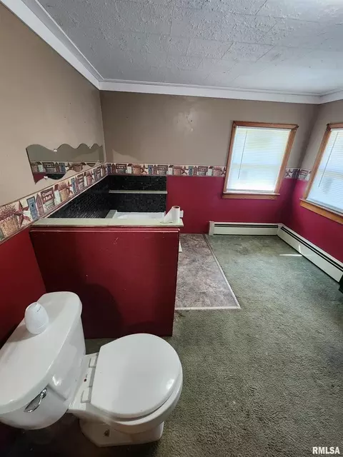 606 S Washington Ave, Dowell, IL 62927 photo 18