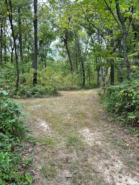 1138 E 970 E County Rd, Sims, IL 62886 photo 20