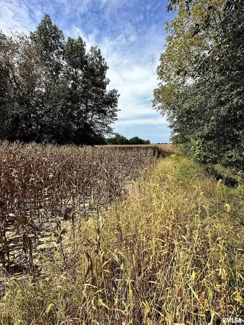 1138 E 970 E County Rd, Sims, IL 62886 photo 6