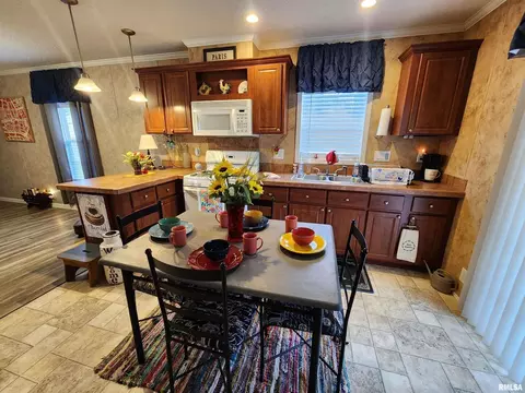 2162 Grand Ave, Eldorado, IL 62930 photo 10