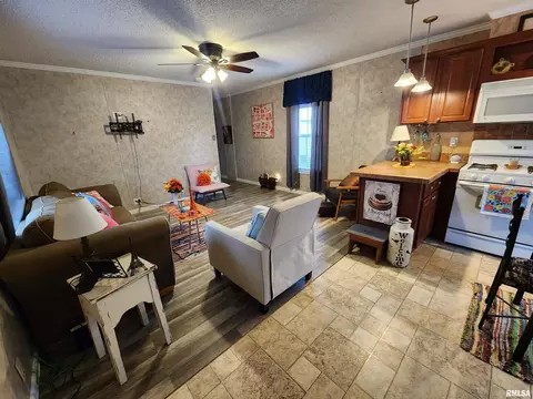 2162 Grand Ave, Eldorado, IL 62930 photo 9