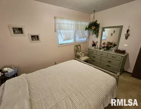 15780 E Breezeway Rd, Texico, IL 62889 photo 27
