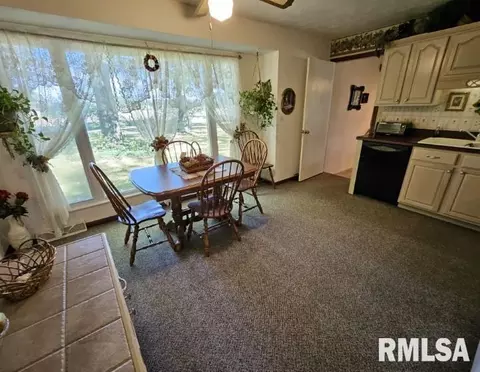15780 E Breezeway Rd, Texico, IL 62889 photo 5